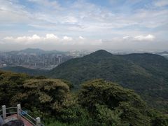 -大湾区中央湿地公园