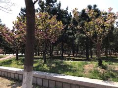 -山东大学(威海校区)