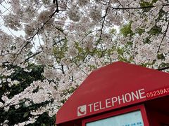 -永乐路-路侧停车场