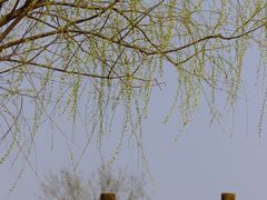 -白水寺森林公园