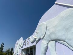 -大青山野生动物园