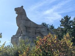 -帽儿山国家森林公园