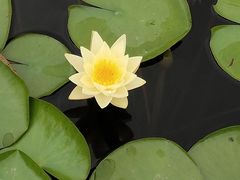 -昆山城市生态森林公园