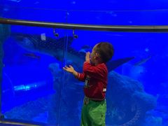 -成都浩海立方海洋公园