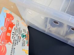 -瑞派天使宠物医院·神经外科·骨科·核磁CT(洛川中路店)