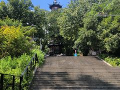 -上海佘山国家森林公园天马山园