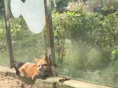 -无锡动物园·太湖欢乐园
