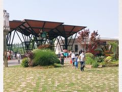 -上海长兴岛郊野公园