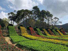 -广州市石门国家森林公园