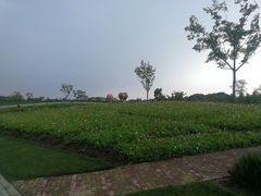 -同里国家湿地公园
