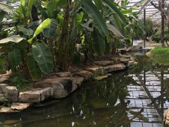 -南通洲际绿博园