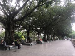 -黄埔古港