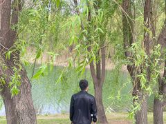 -长春公园(普阳街道)