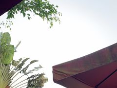-天程知味园