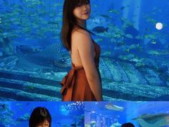 -亚特兰蒂斯•OSSIANO奥西亚诺海底餐厅