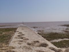 -南汇嘴观海公园