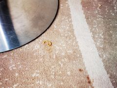 -上海虹桥西郊假日酒店