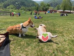 -玉渡山自然风景区