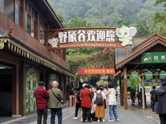-野象谷景区