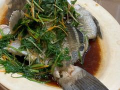 清蒸石斑鱼-揭阳钟记小食(福田新村店)