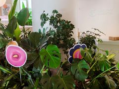-观心实验室·心理咨询(上海旗舰店)