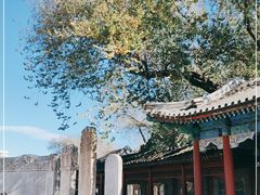 -北京石刻艺术博物馆(五塔寺)