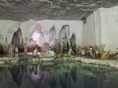 -太平洋海底世界餐厅