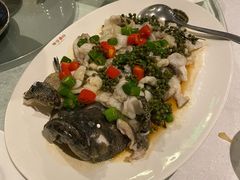 藤椒蒸鱼-海湾壹品·粤菜·早茶·烤鸭(拱北店)