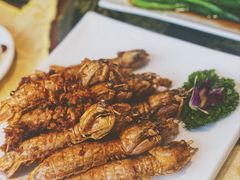 -海岛渔村大酒店(云霄路店)