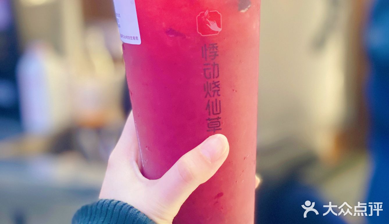 魔都探店｜好喝到飞起的车厘子系列果茶