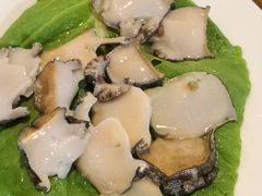 鲍鱼-凯华海鲜火锅·传承三十六年