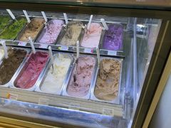 -鹤茶野所(上海首店)
