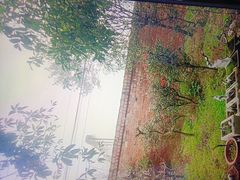 -周老三跷脚牛肉·全牛火锅(非遗传承店)