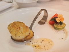 香煎澳洲鲜带子-樱苑(四川北路店)