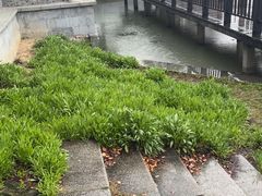 -高子水居