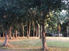 -白沙门生态公园