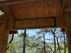 -沂蒙山旅游区云蒙景区(蒙山国家森林公园)