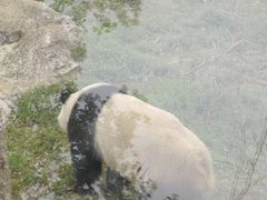 -武汉动物园