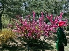 -燕郊植物园