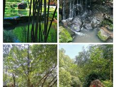 -广州市白云山风景名胜区