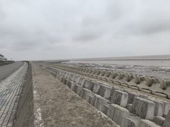-南汇嘴观海公园