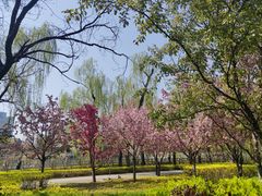 -迎泽公园