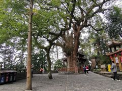 -安溪清水岩