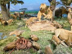 -国家自然博物馆