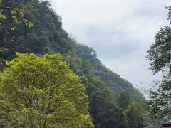 -赤水丹霞旅游区·佛光岩