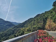 -梧桐山风景名胜区