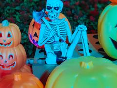 -七彩云南欢乐世界