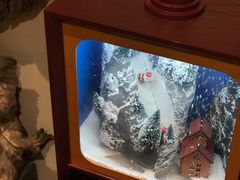 -小豆海棠(嘉兴路店)