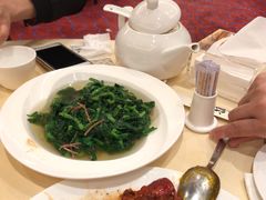 上汤豆苗-镛记酒家