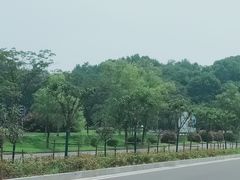-狮麟驾校